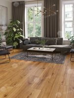 Кварцвиниловый ламинат Alpine Floor Pro Nature by Classen 62544 Andes