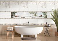 Alma Ceramica Ailand 20x60
