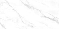 Керамогранит NT Ceramic Marmo Statuario Endless NTT99506P 60x120