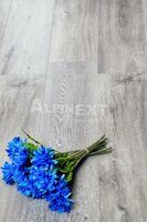 Кварцвиниловый пол Alpine Floor Classic ЕСО134-5 Ясень Серый