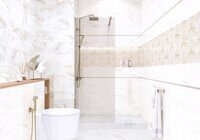 Alma Ceramica Dea 20x60