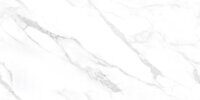 Керамогранит NT Ceramic Marmo Statuario Endless NTT99506P 60x120