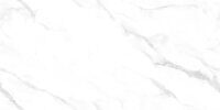 Керамогранит NT Ceramic Marmo Statuario Endless NTT99506P 60x120