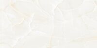 Керамогранит NT Ceramic Onyx Predo NTT99504P 60x120