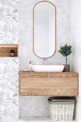 Alma Ceramica Bergamo 24,9х50