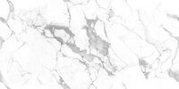 Керамогранит NT Ceramic Marmo Callacata Endless NTT99507P 60x120