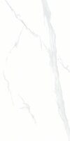 Керамогранит NT Ceramic Bright and Shiny Statuario NTT9106P 60x120