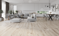 Кварцвиниловый ламинат Alpine Floor Pro Nature by Classen 62545 Taraza