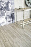 Кварцвиниловый пол Alpine Floor Intense ECO 9 -2 Канадский лес
