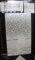 Alma Ceramica Riola 24x74
