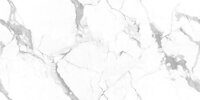 Керамогранит NT Ceramic Marmo Callacata Endless NTT99507P 60x120