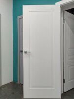 Дверь межкомнатная Нео 1 ПГ